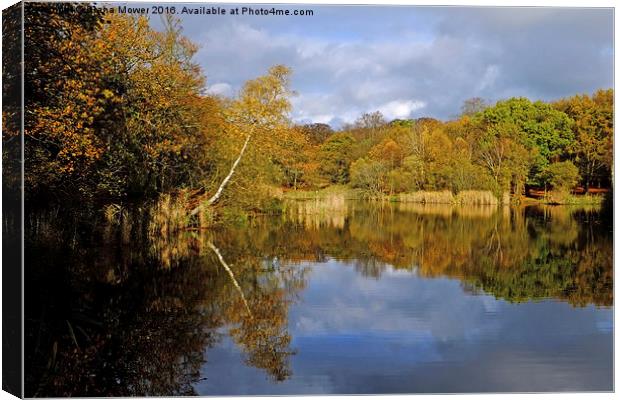 Wake Valley Pond Epping  Canvas Print by Diana Mower
