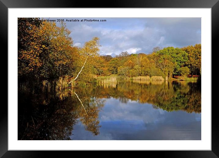 Wake Valley Pond Epping  Framed Mounted Print by Diana Mower