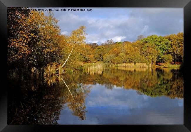 Wake Valley Pond Epping  Framed Print by Diana Mower