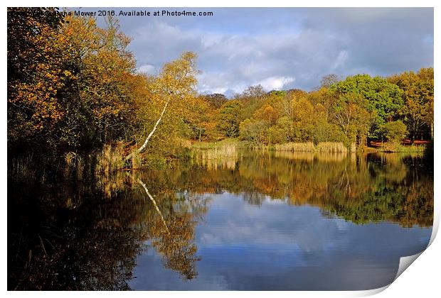 Wake Valley Pond Epping  Print by Diana Mower