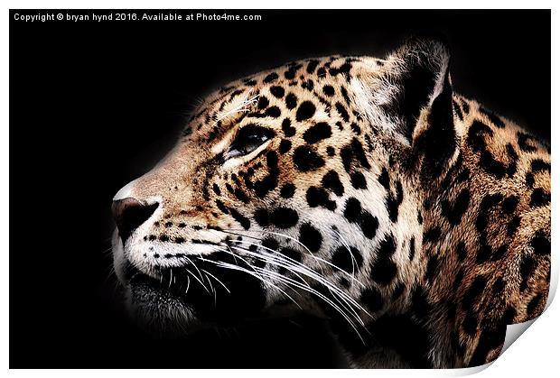  Jaguar Profile 2 Print by bryan hynd