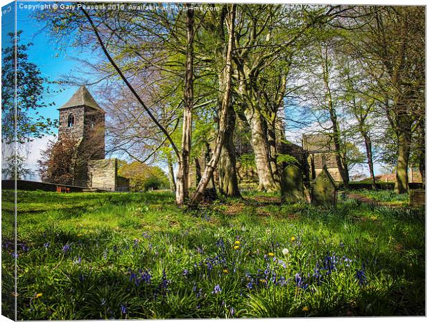 Springtime amongst the graves  Canvas Print by Gary Peacock