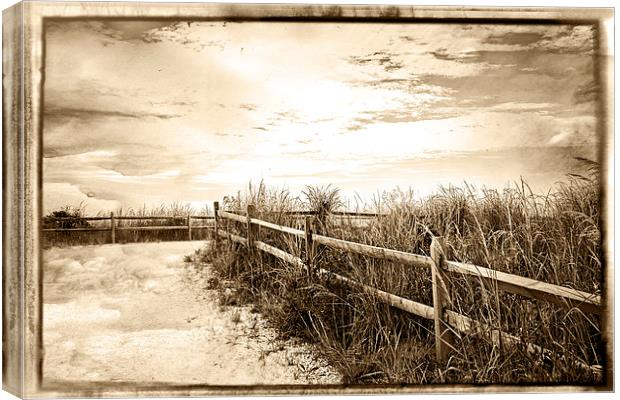  Sepia Pathway To The Sea  Canvas Print by Tom and Dawn Gari