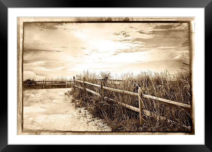  Sepia Pathway To The Sea  Framed Mounted Print by Tom and Dawn Gari