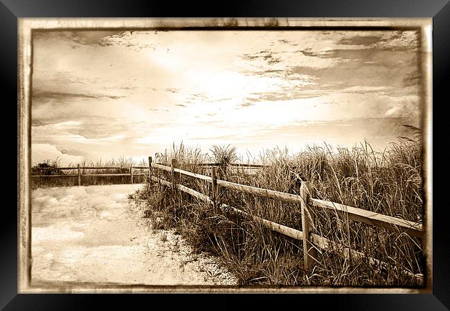  Sepia Pathway To The Sea  Framed Print by Tom and Dawn Gari