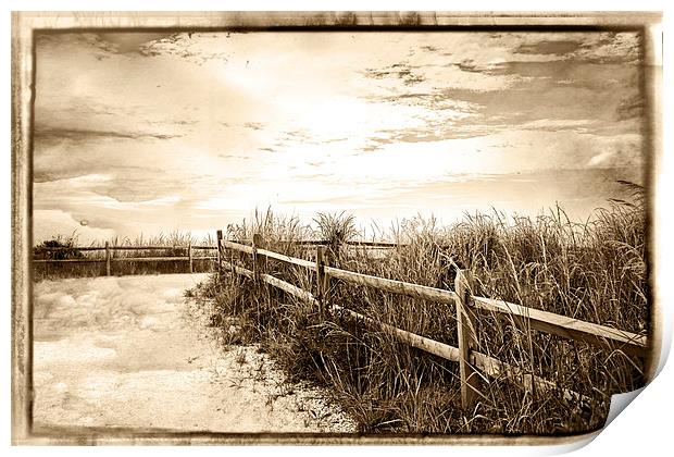  Sepia Pathway To The Sea  Print by Tom and Dawn Gari