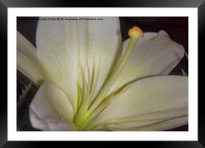  Magnify Framed Mounted Print by Judy Hall-Folde