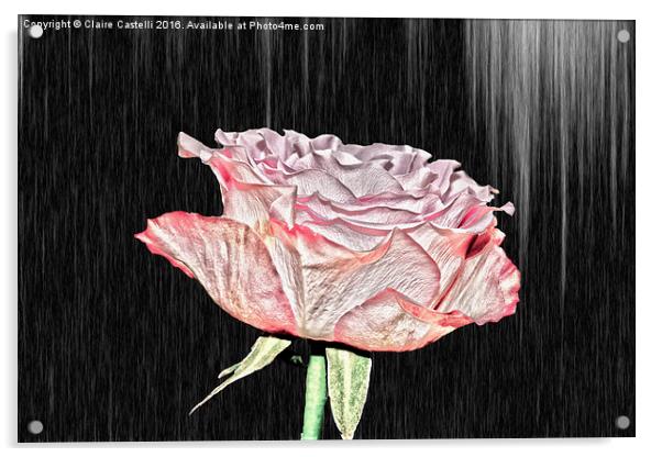  Single Rose Acrylic by Claire Castelli