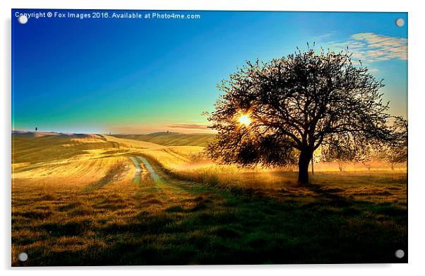  countryside walk Acrylic by Derrick Fox Lomax