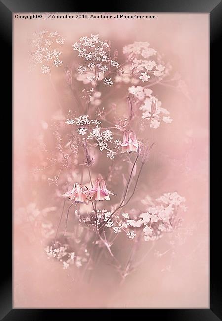  Bouquet in Pastel Pink Framed Print by LIZ Alderdice