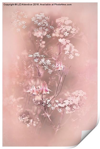  Bouquet in Pastel Pink Print by LIZ Alderdice