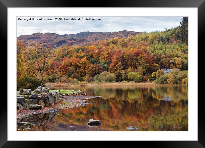  Llyn Geirionydd Lake in Autumn Framed Mounted Print by Pearl Bucknall