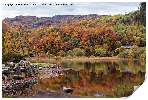  Llyn Geirionydd Lake in Autumn Print by Pearl Bucknall