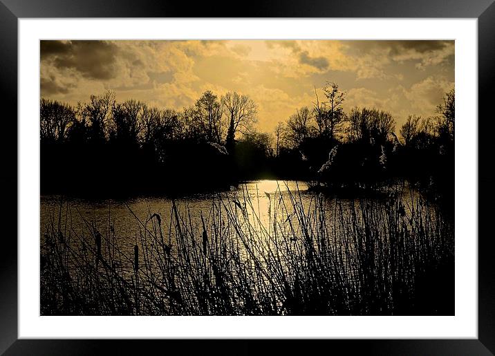  Sunset over the lake Framed Mounted Print by Sue Bottomley