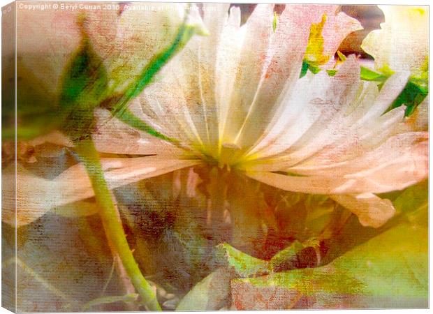 Dreamy Pink and White Wedding Bouquet Canvas Print by Beryl Curran