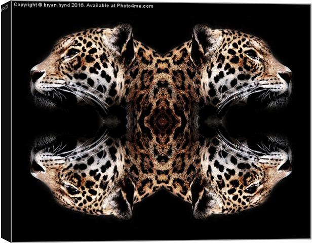  Jaguar art Canvas Print by bryan hynd