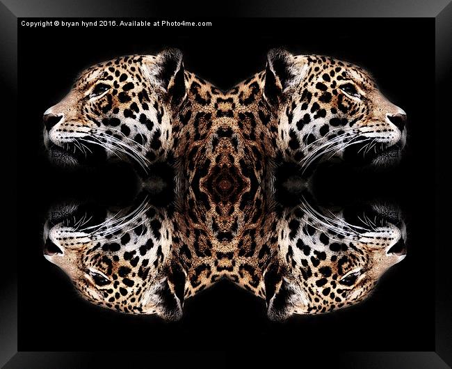  Jaguar art Framed Print by bryan hynd