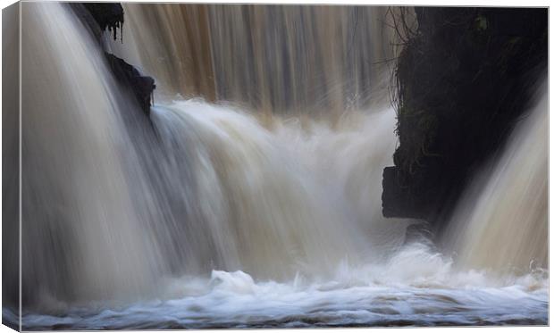  Waterfalls at Penllergare nature reserve Canvas Print by Leighton Collins