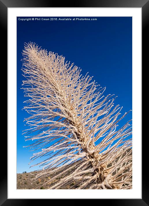  Reaching for the sky II Framed Mounted Print by Phil Crean