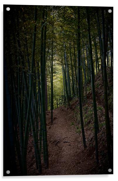 Darkness of the Bamboo Forest Acrylic by Jim Leach