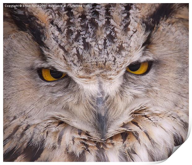  Owl Eyes Print by bryan hynd