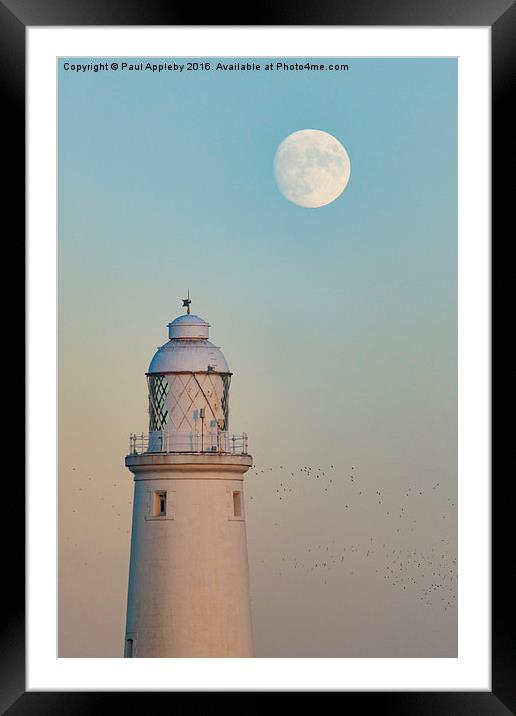  St. Mary's Lighthouse and the Christmas Moon Framed Mounted Print by Paul Appleby
