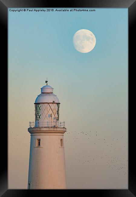  St. Mary's Lighthouse and the Christmas Moon Framed Print by Paul Appleby
