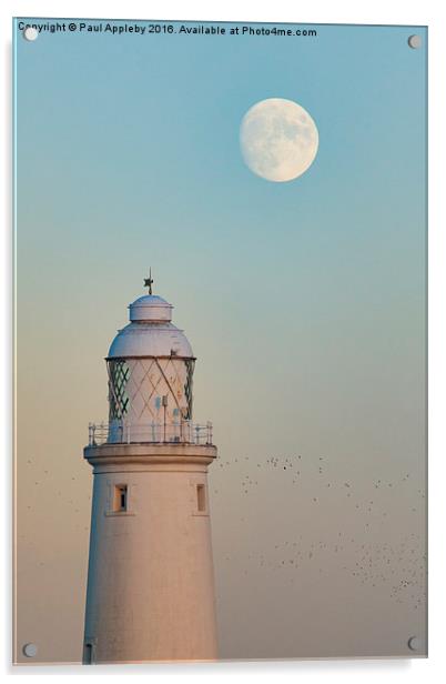  St. Mary's Lighthouse and the Christmas Moon Acrylic by Paul Appleby