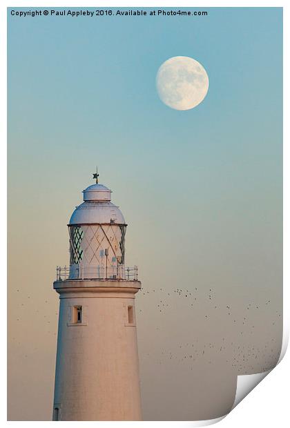 St. Mary's Lighthouse and the Christmas Moon Print by Paul Appleby