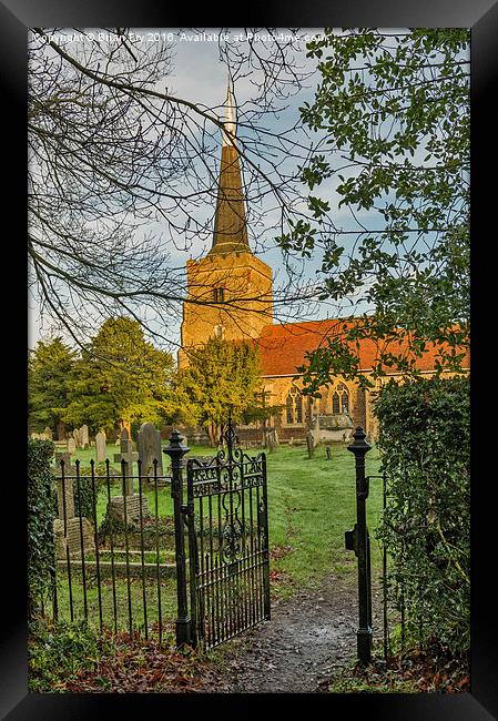 Side  Gate View Framed Print by Brian Fry