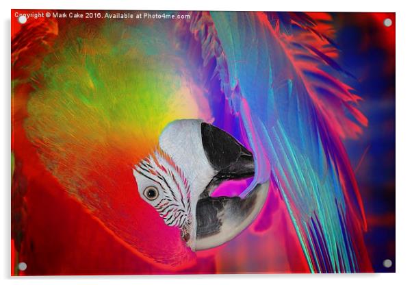  Macaw art Acrylic by Mark Cake