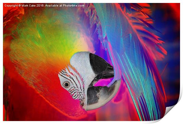  Macaw art Print by Mark Cake