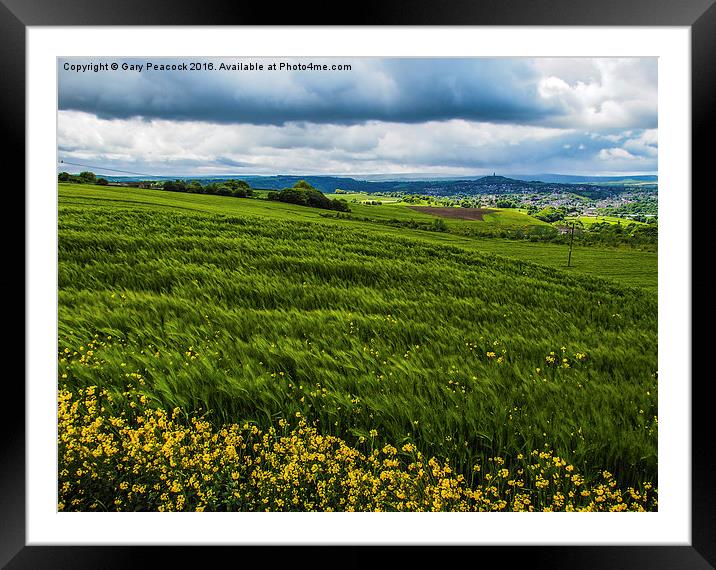  Fields of barley Framed Mounted Print by Gary Peacock