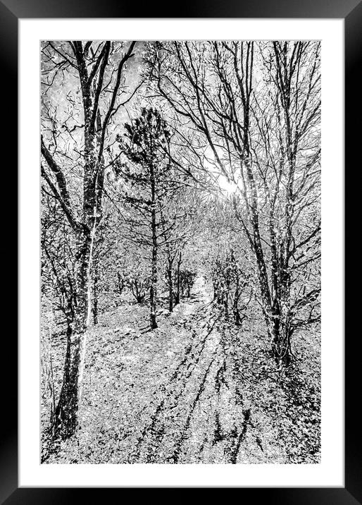 Monochrome Snow Forest Art Framed Mounted Print by David Pyatt