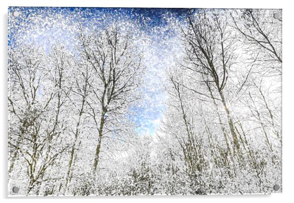 The Snow Forest Art Acrylic by David Pyatt