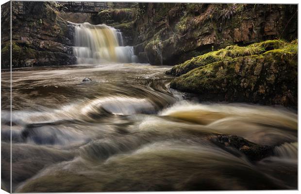 Dinas Rock Waterfalls Canvas Print by Leighton Collins
