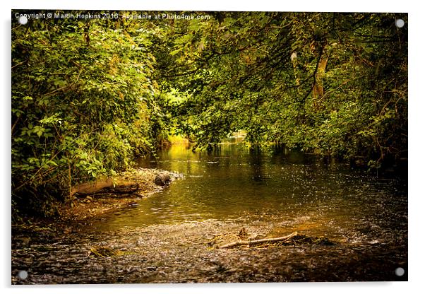 Tranquil Brook Acrylic by Martin Hopkins