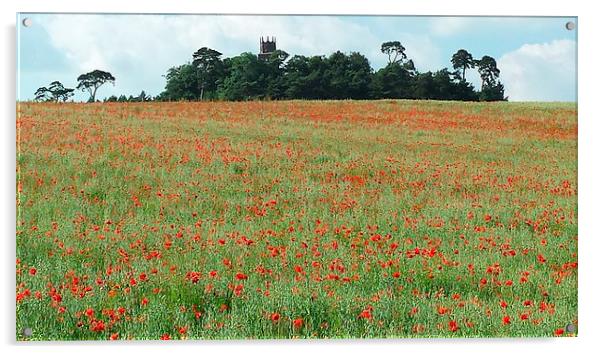  poppy field Acrylic by Raymond Partlett