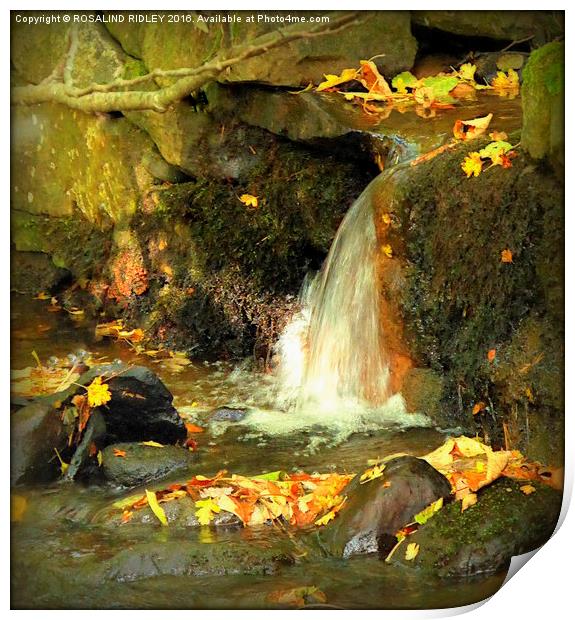 "AUTUMN WATERFALL"  Print by ROS RIDLEY