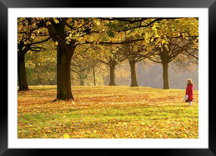 Alone In The Park Framed Mounted Print by Kobby Dagan