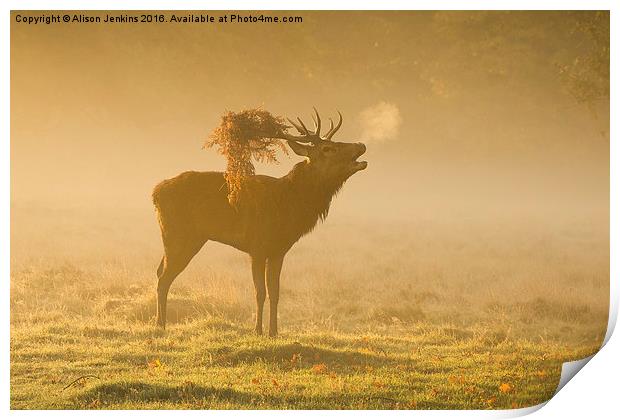  Morning Mist Deer Print by Alison Jenkins