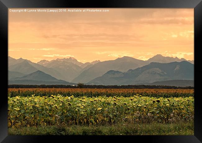  Sunset over the Pyrenees Framed Print by Lynne Morris (Lswpp)