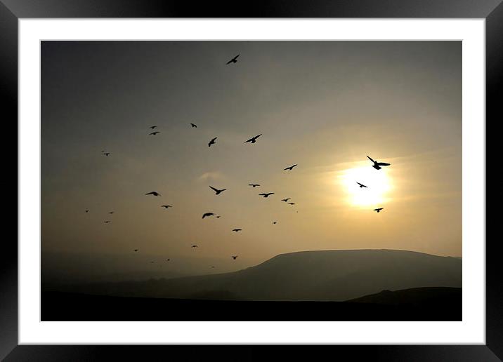  Homeward Bound Framed Mounted Print by Mark Cummins