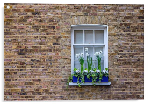 Flower Box Window 2 Acrylic by LensLight Traveler