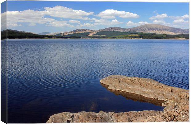  Chatteringshaws Loch  Canvas Print by David Chennell
