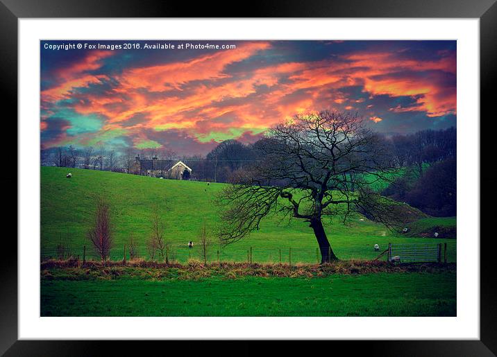  countryside Evening Framed Mounted Print by Derrick Fox Lomax