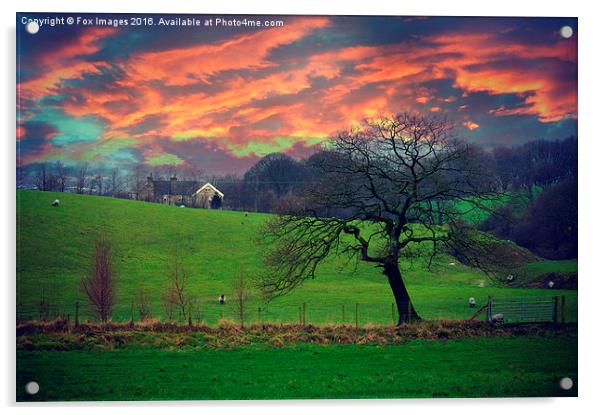  countryside Evening Acrylic by Derrick Fox Lomax