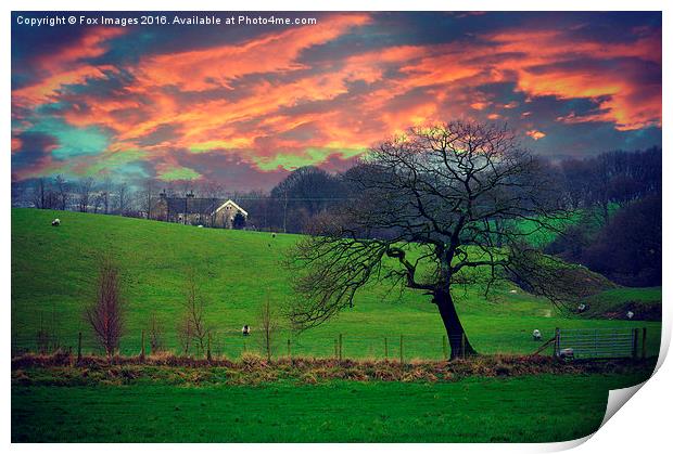  countryside Evening Print by Derrick Fox Lomax