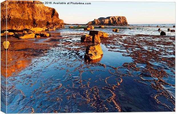  ROCKY SHORE Canvas Print by andrew saxton