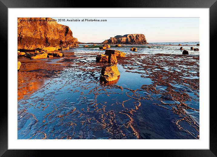  ROCKY SHORE Framed Mounted Print by andrew saxton